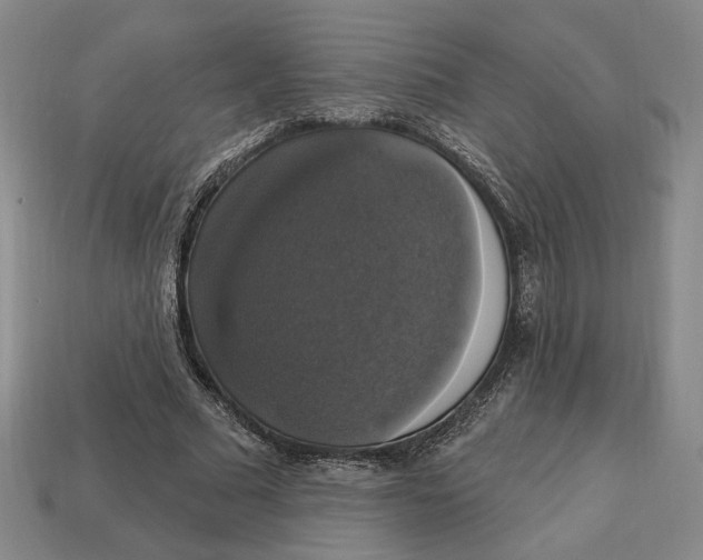 X0000112910681200909141251