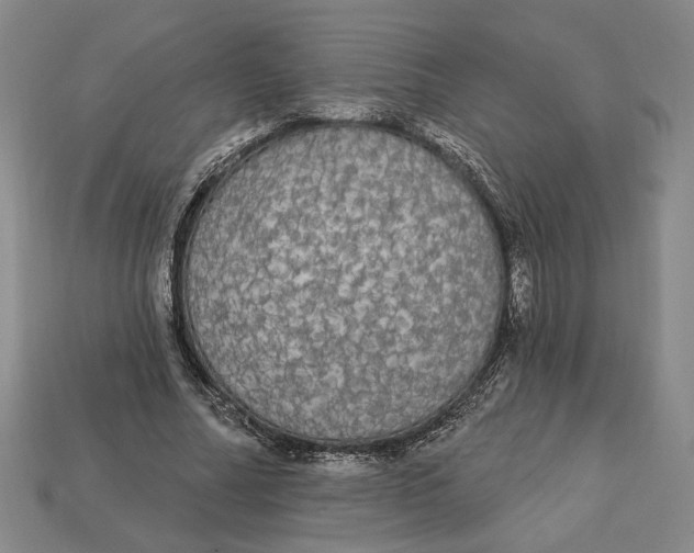 X0000112910682200909141251