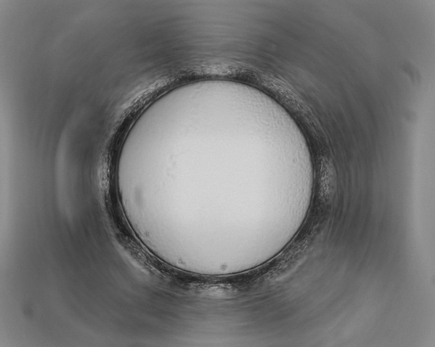 X0000112910683200909141251