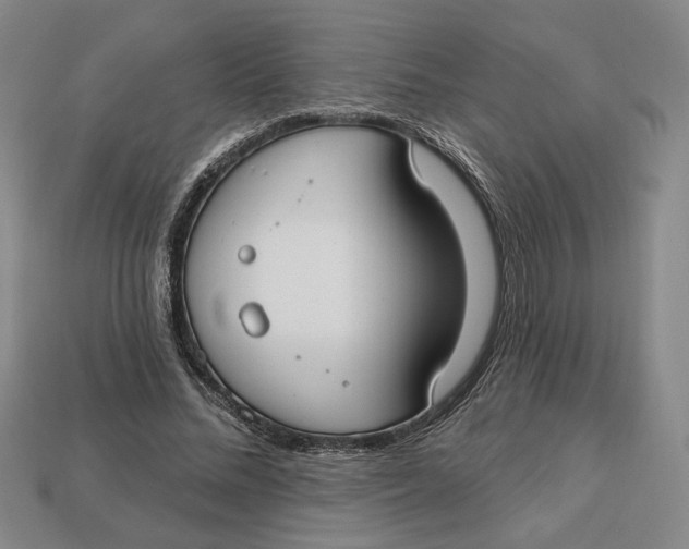 X0000112910684200909141251