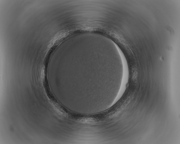 X0000112910685200909141251