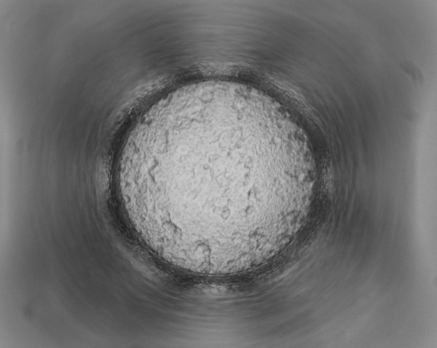 X0000112910687200909141251