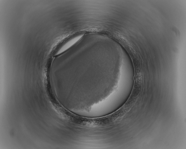 X0000112910688200909141251