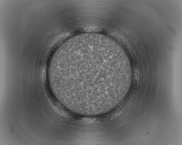 X0000112910690200909141251