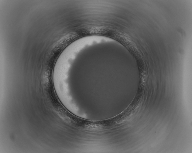 X0000112910691200909141251