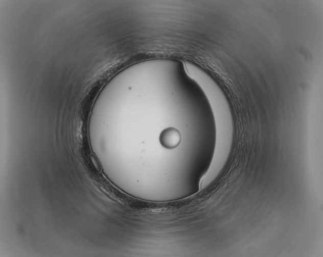 X0000112910692200909141251