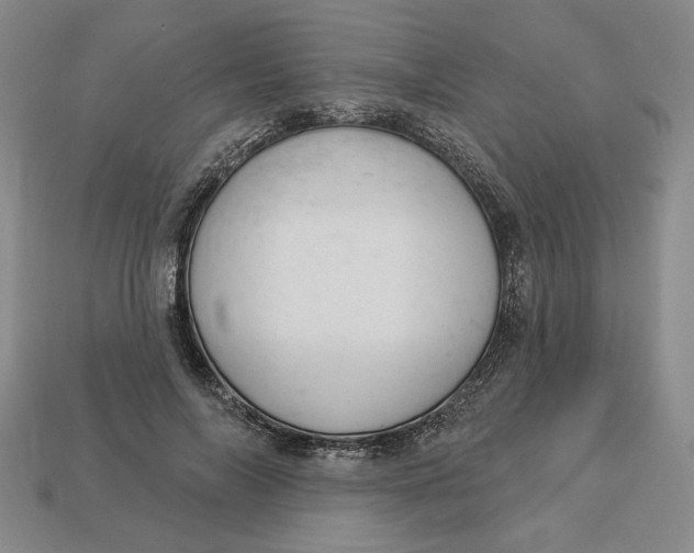 X0000112910694200909141251