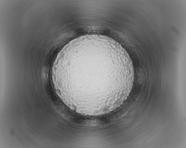 X0000112910695200909141251