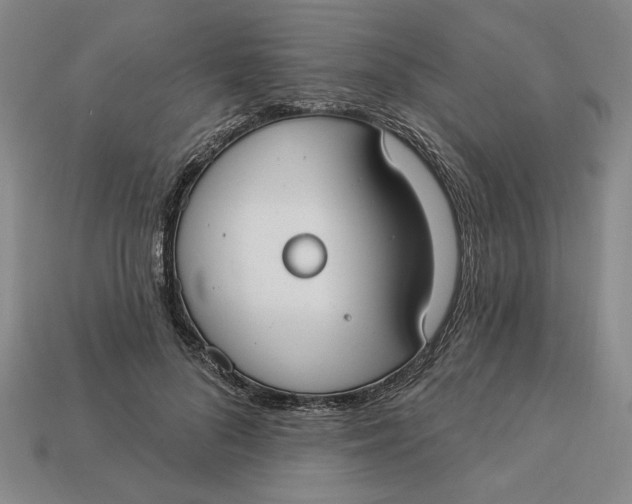 X0000112910696200909141251