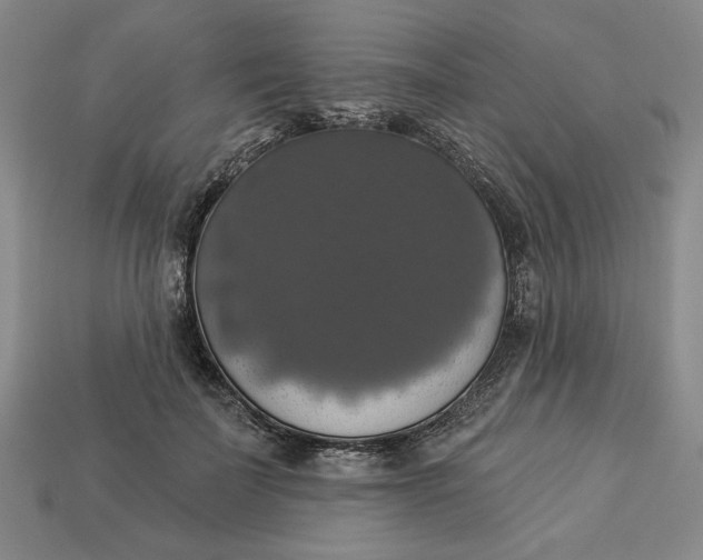 X0000112910699200909141251