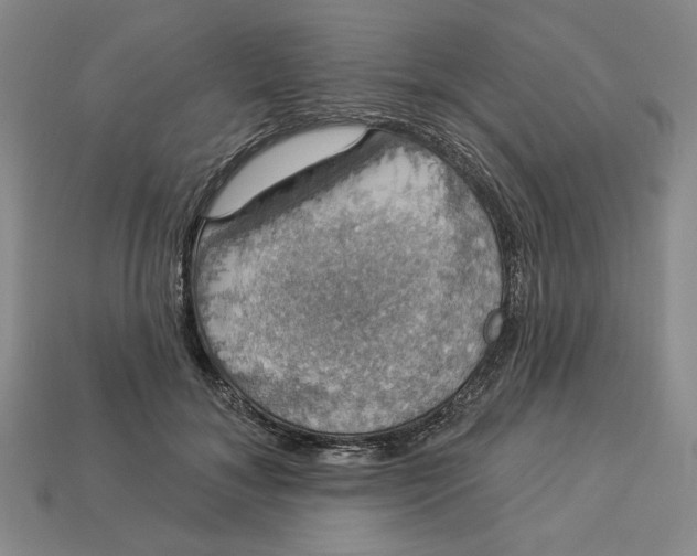 X0000112910700200909141251