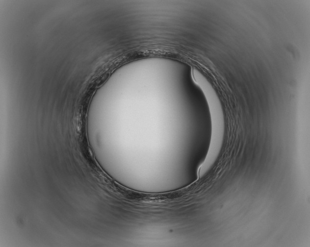 X0000112910701200909141251