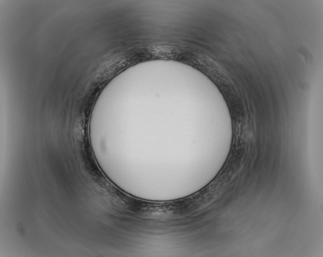 X0000112910702200909141251