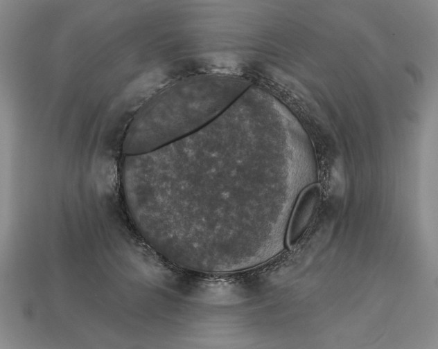 X0000112910704200909141251