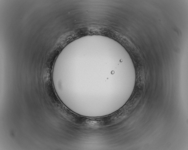 X0000112910706200909141251