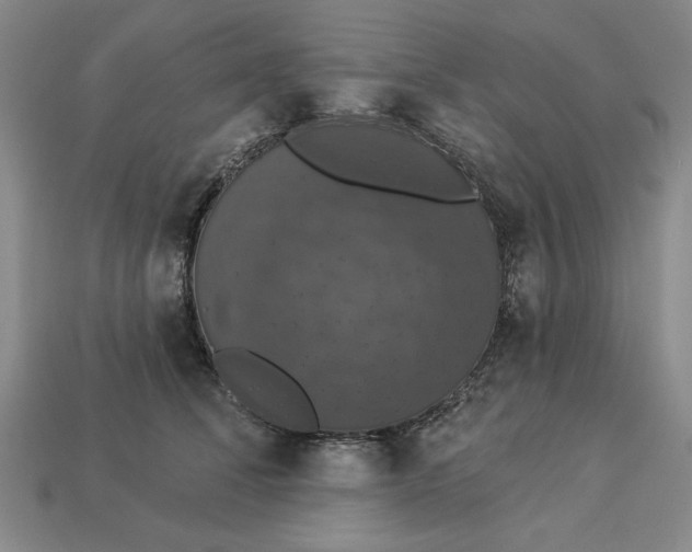 X0000112910708200909141251