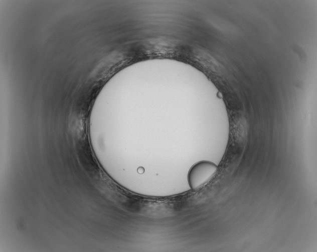 X0000112910709200909141251