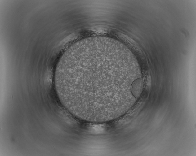 X0000112910710200909141251