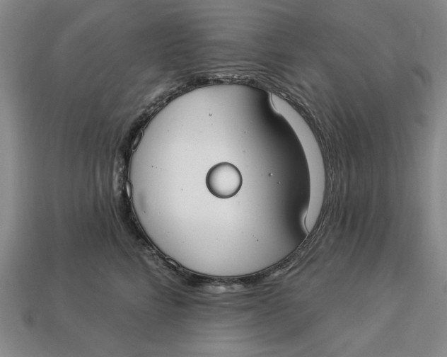 X0000112910712200909141251