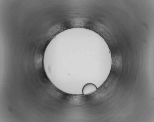 X0000112910717200909141251