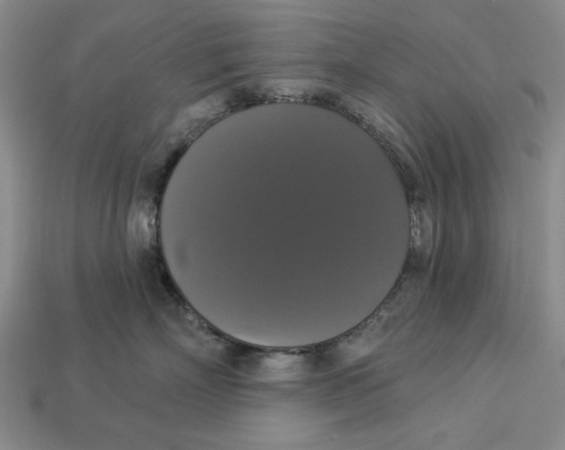 X0000112910718200909141251