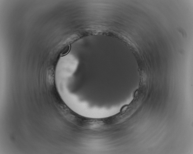 X0000112910719200909141251