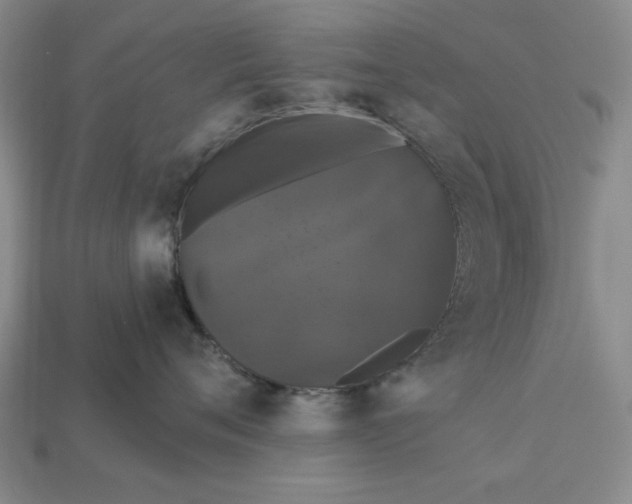 X0000112910720200909141251