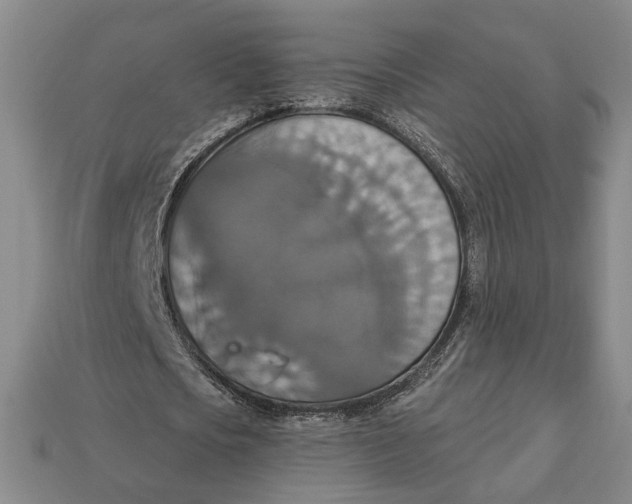 X0000112910721200909141250