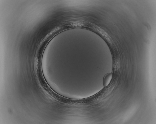 X0000112910722200909141250