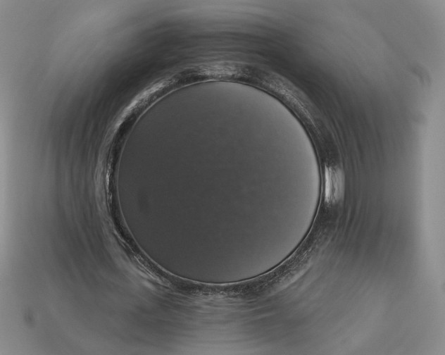 X0000112910723200909141250