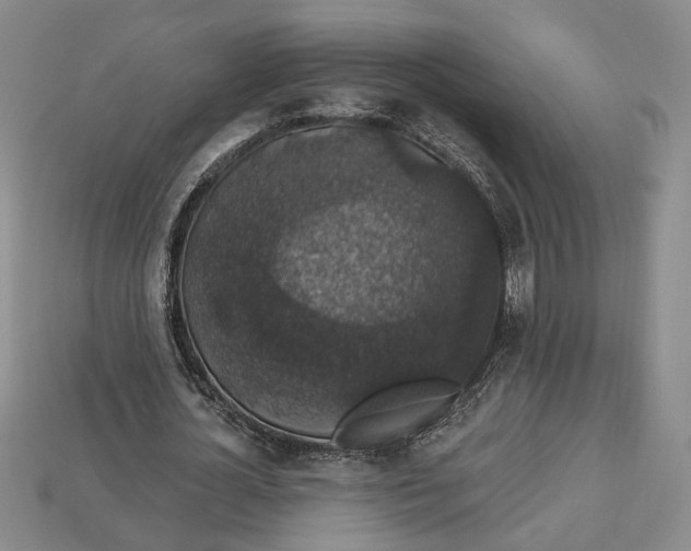 X0000112910724200909141250