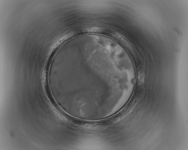 X0000112910725200909141250