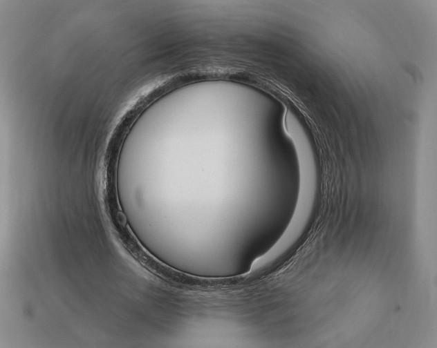 X0000112910726200909141250