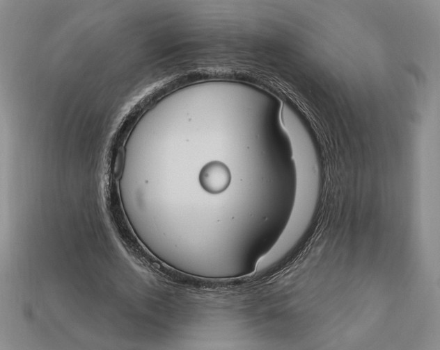 X0000112910728200909141250