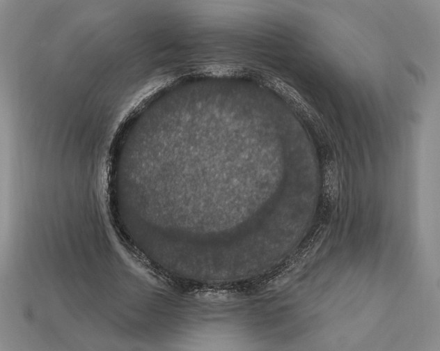 X0000112910730200909141250