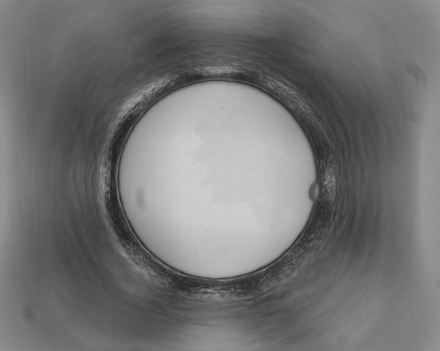 X0000112910732200909141250