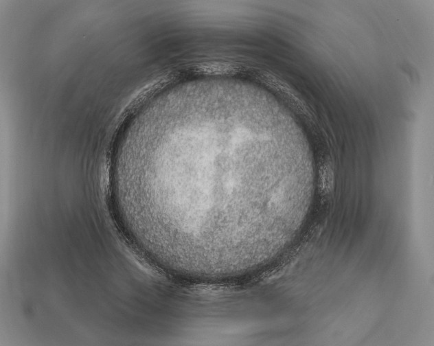 X0000112910733200909141250