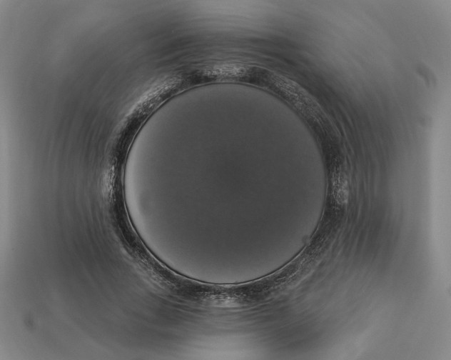 X0000112910735200909141250