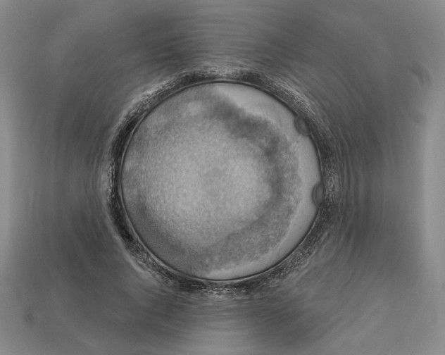 X0000112910736200909141250