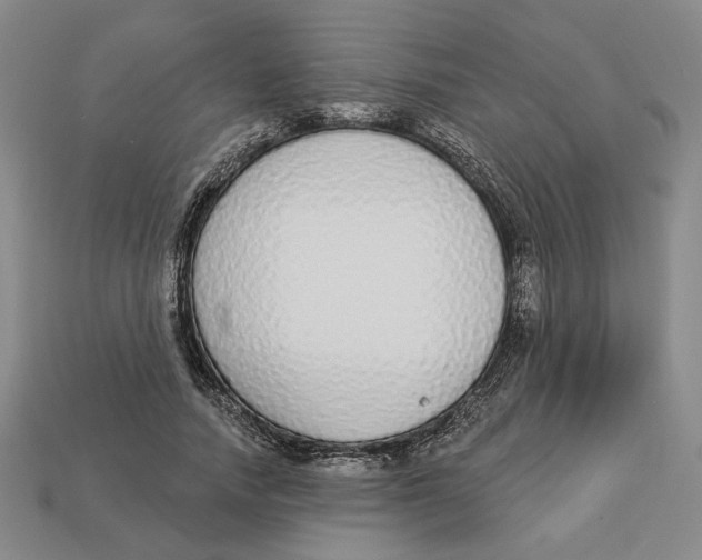 X0000112910738200909141250