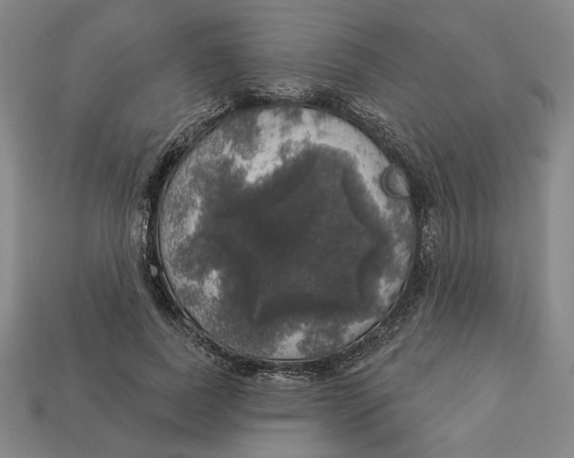 X0000112910739200909141250