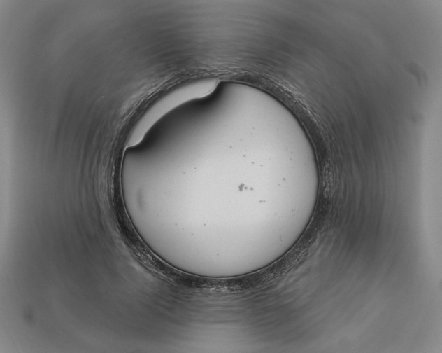 X0000112910740200909141250