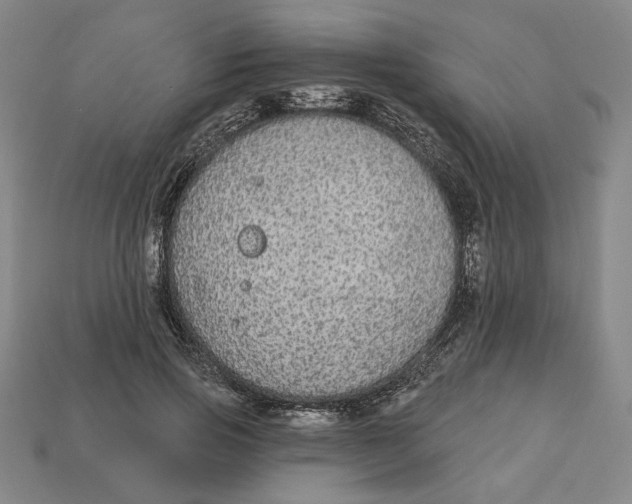 X0000112910741200909141250