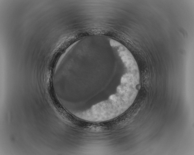 X0000112910742200909141250