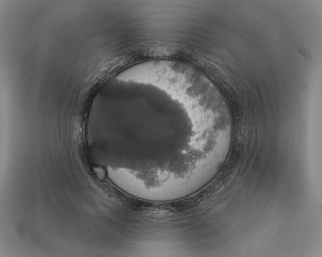 X0000112910743200909141250