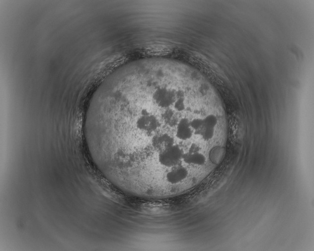 X0000112910745200909141251