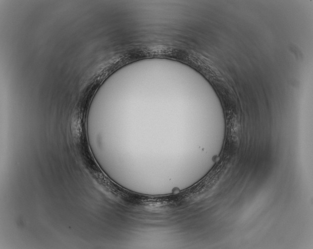 X0000112910746200909141251