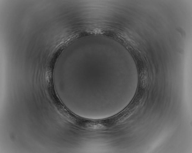 X0000112910747200909141251