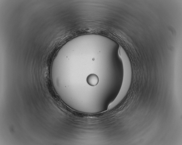 X0000112910748200909141251