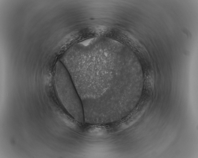 X0000112910750200909141251